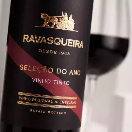 Visitação guiada com degustação na Vinícola Ravanello - Wine Locals