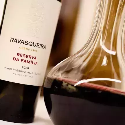 Visitação guiada com degustação na Vinícola Ravanello - Wine Locals