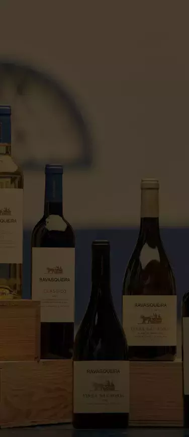 vinhos mobile