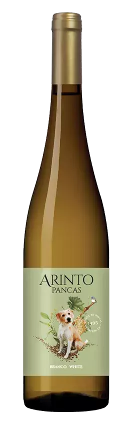 ARINTO-PANCAS-BRANCO