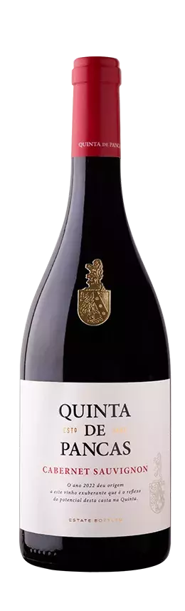 cabernet-sauvignon-22.